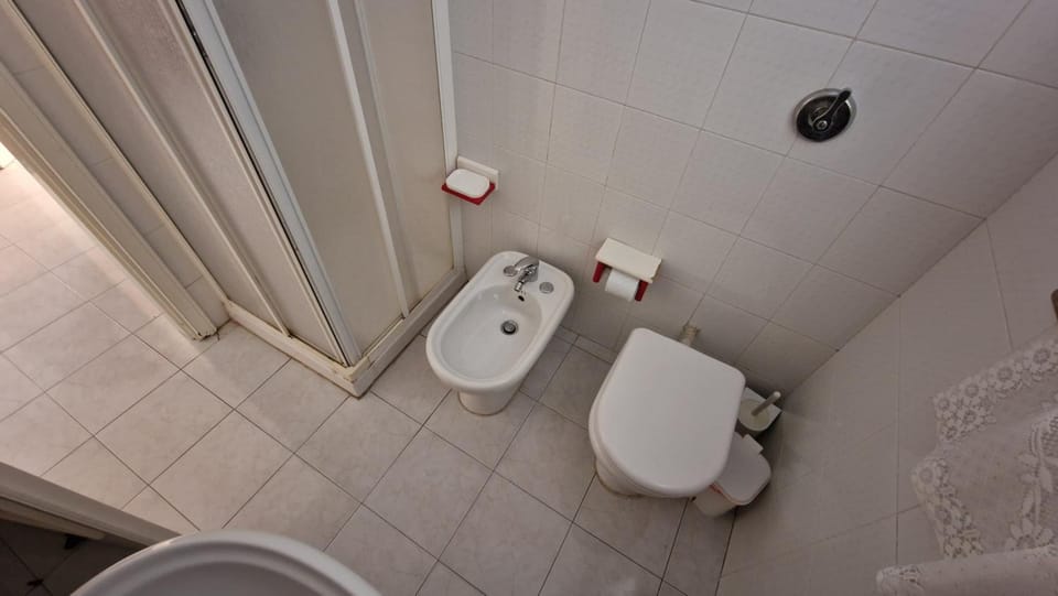 Shower, Toilet, Bathroom, bidet