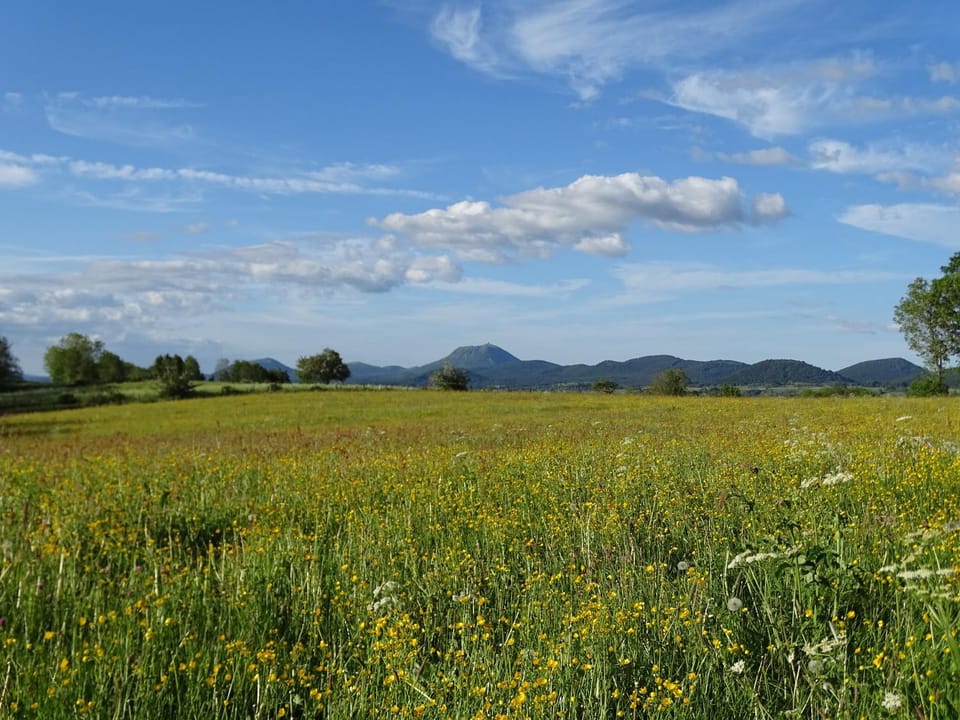 Mountain view