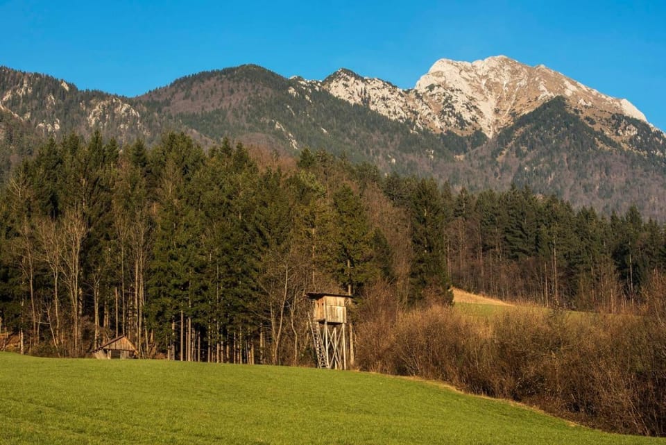 Little dream house in a perfect spot House in Slovenia
