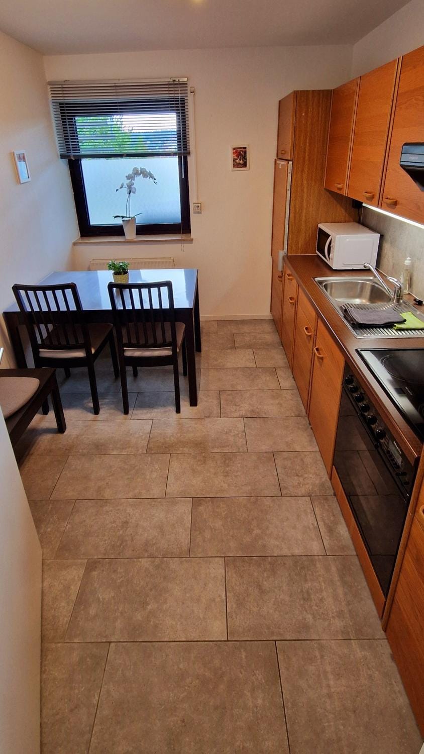 Kitchen or kitchenette, Dining area, oven, stove