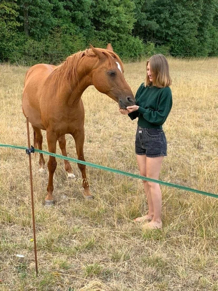 Auberge de la Tuilerie Bed and Breakfast in Bourgogne-Franche-Comté