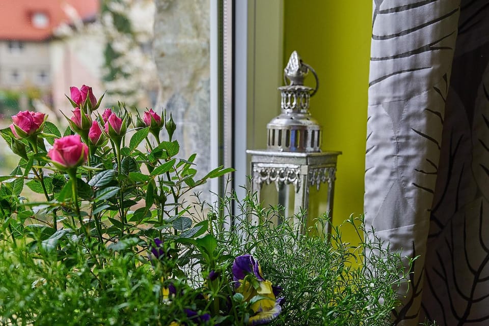Willa Potoki Vacation rental in Lower Silesian Voivodeship