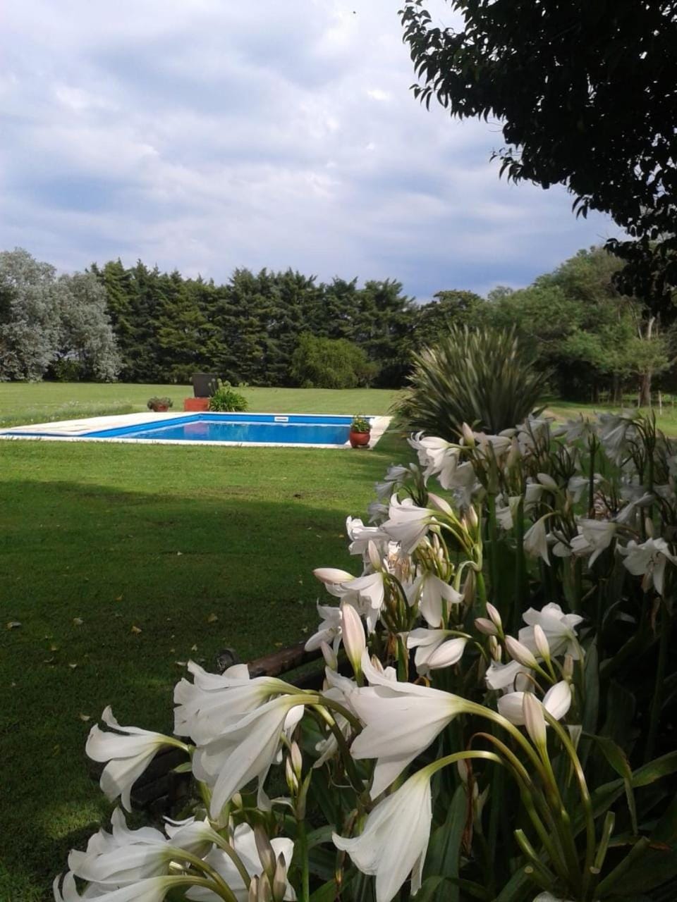 Hostería Rural Les Aldudes Country House in Buenos Aires Province
