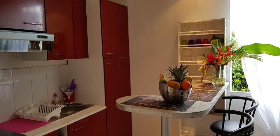 SaS NEMO Apartment in Leeward Islands