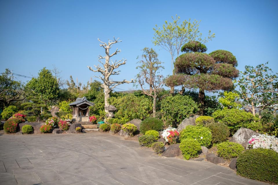 Property building, Day, Garden