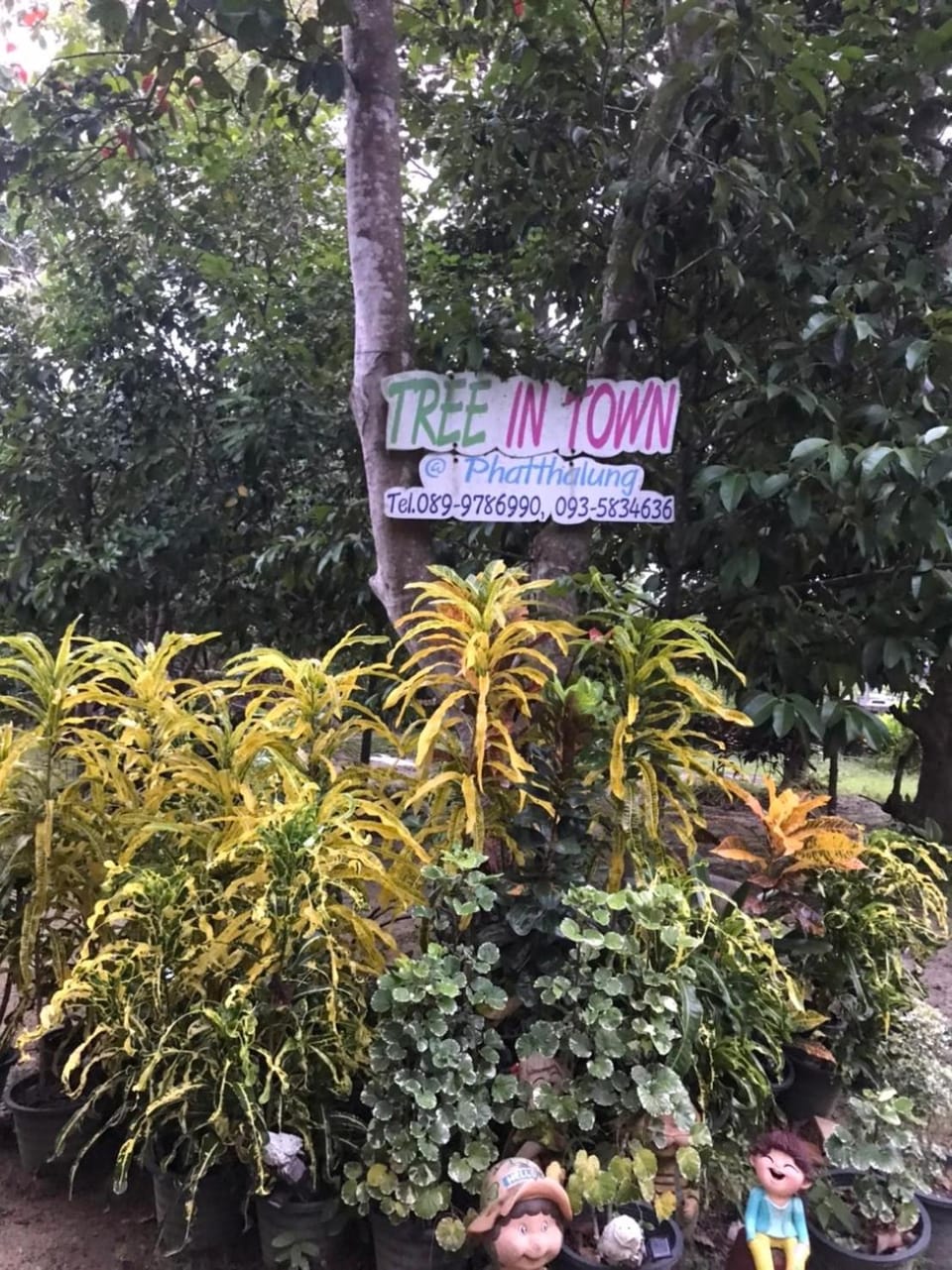 Tree in town ทรีอินทาวน์ Nature lodge in Thailand