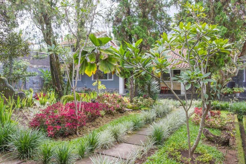 Property building, Garden