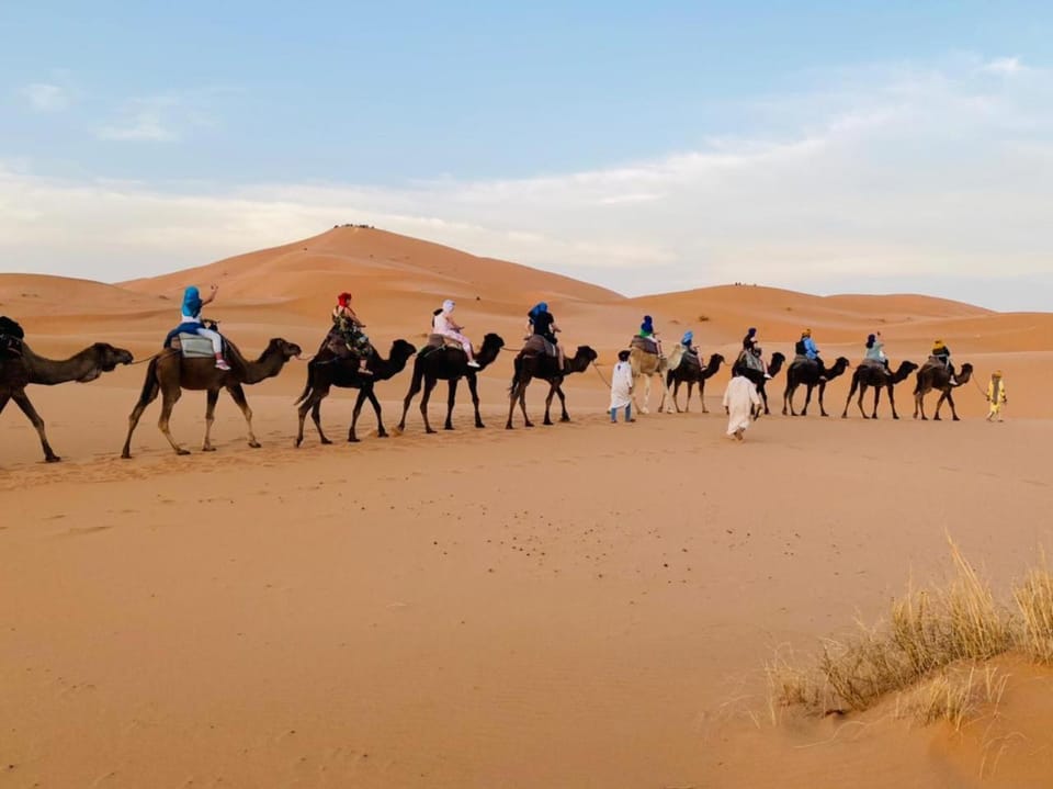 People, Natural landscape, Animals, group of guests