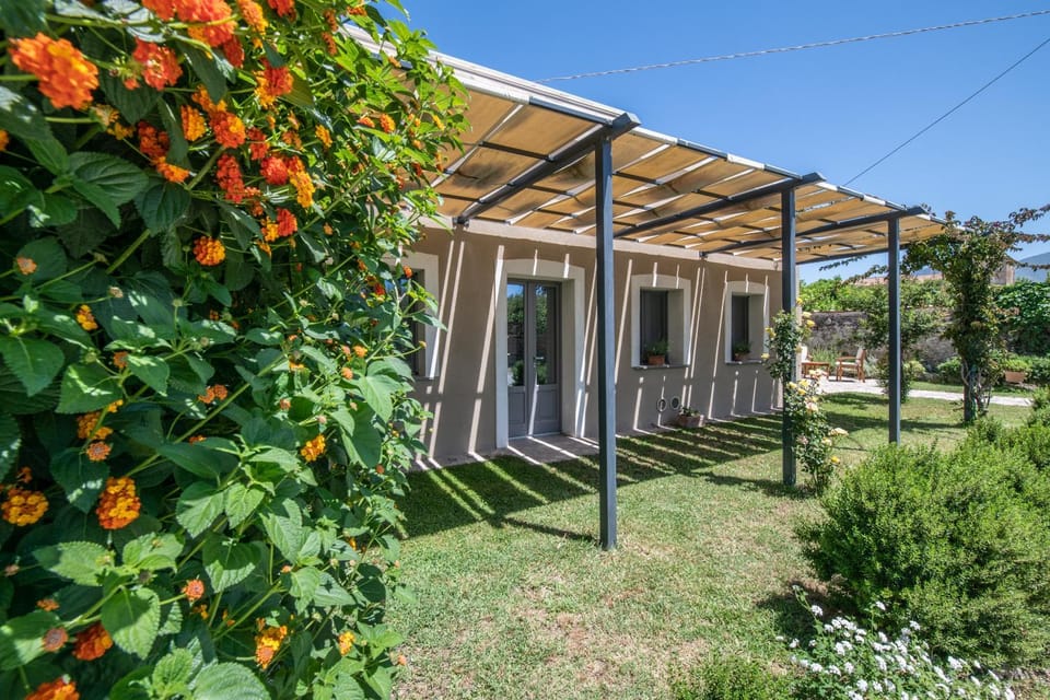 Patio, Facade/entrance, Garden