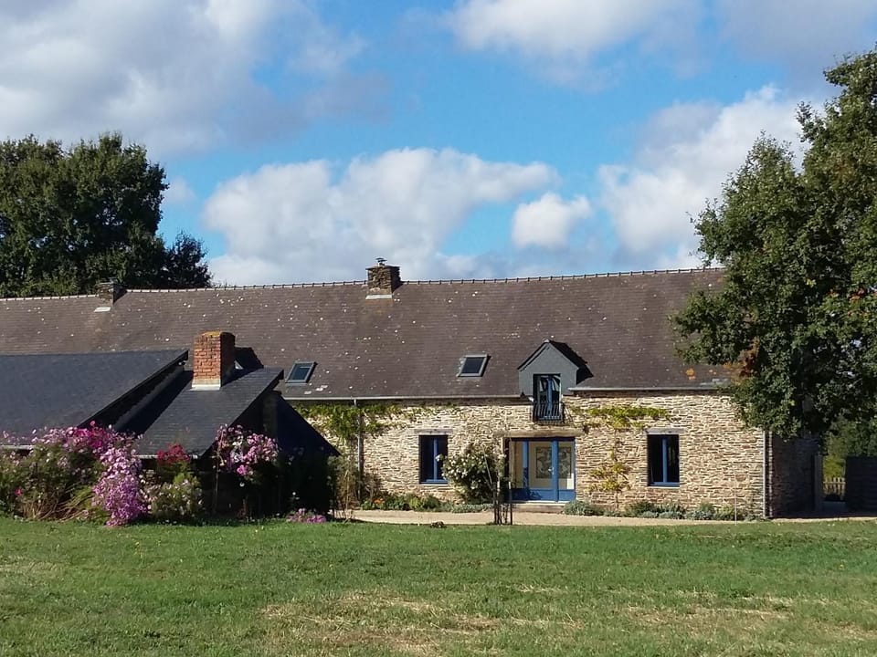 Property building, Facade/entrance, Garden