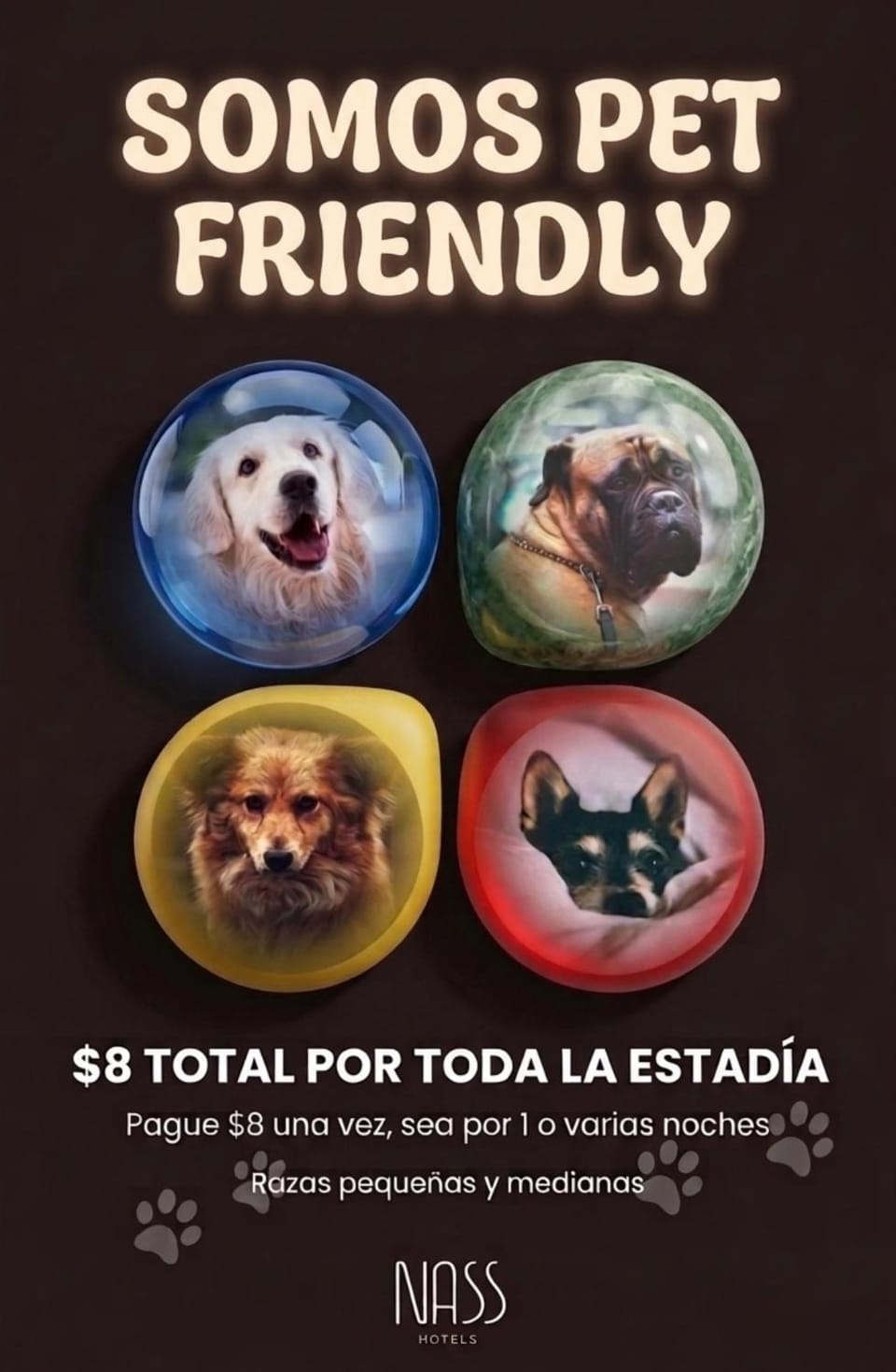Property logo or sign, Logo/Certificate/Sign, Animals