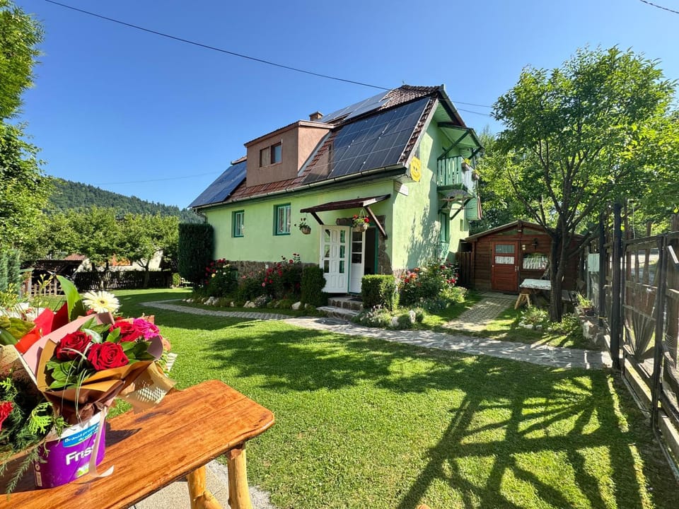 Pensiunea Panorama Bed and Breakfast in Brașov County