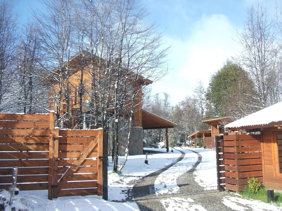 Neighbourhood, Natural landscape, Winter
