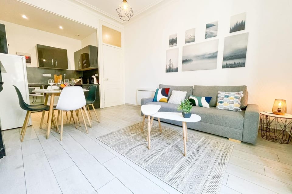 #B3 Light Pink T2 near Jaurès Estacade Luminous Apartment in Grenoble