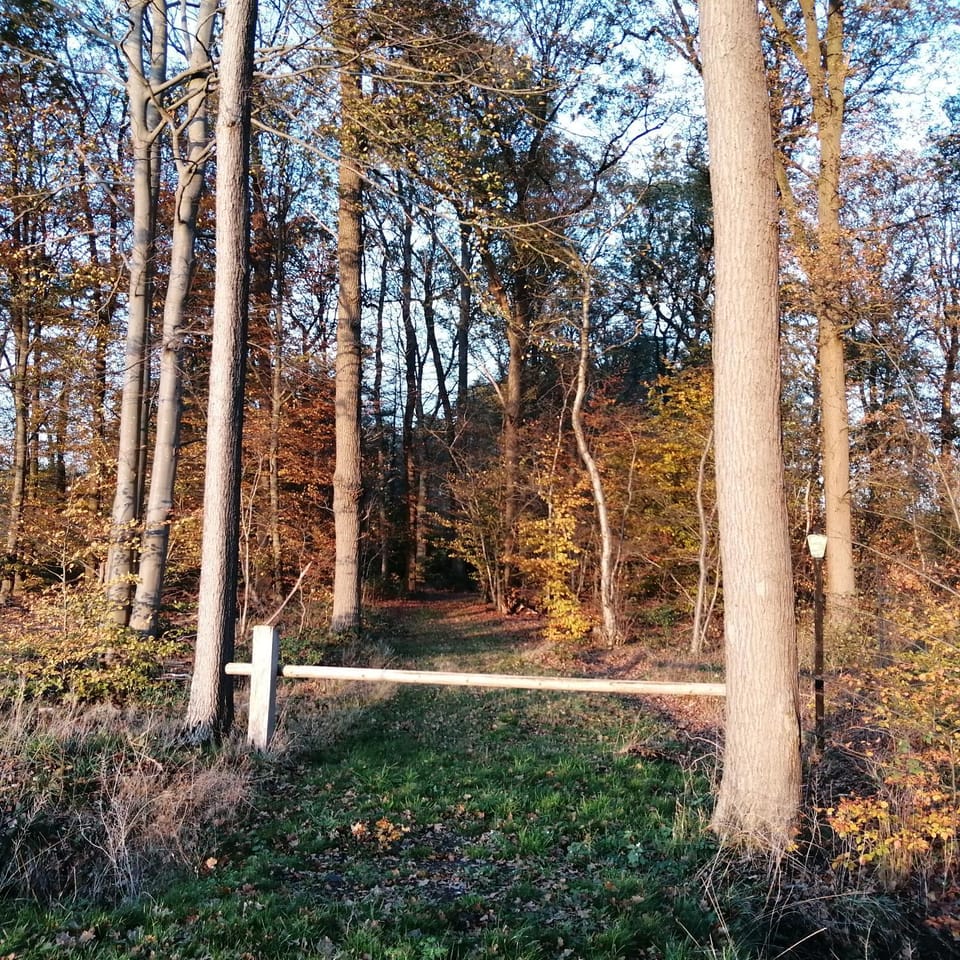 Natural landscape