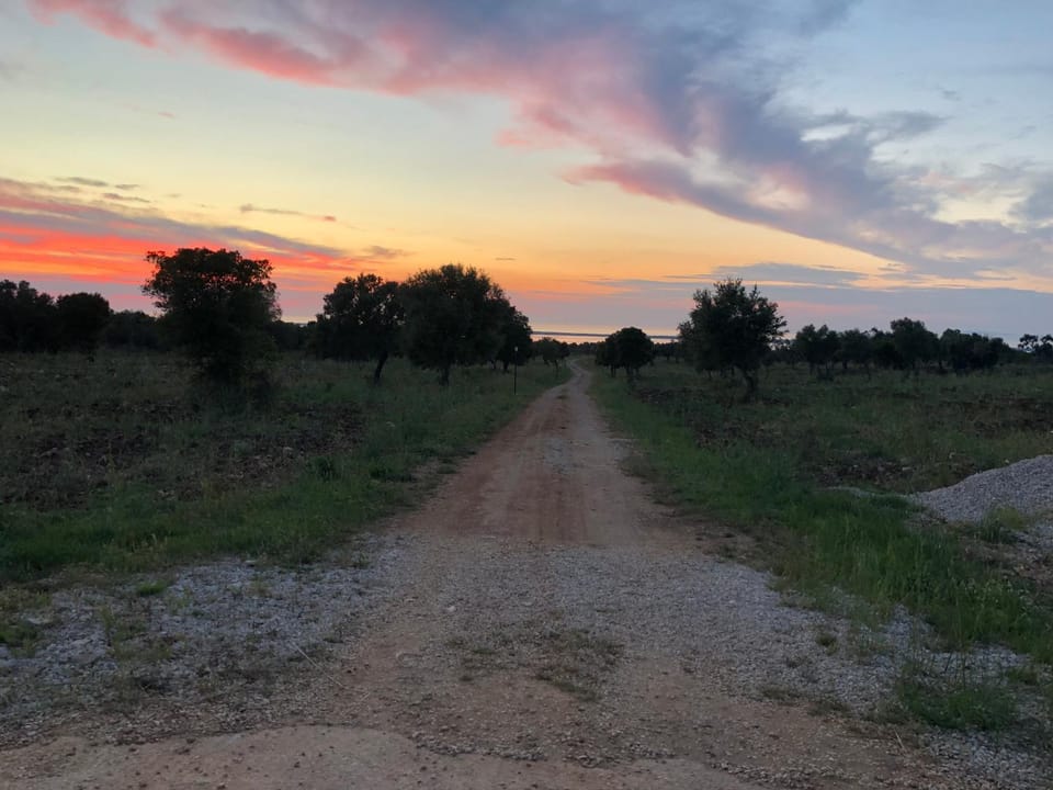 Tenuta De Luca Farm Stay in Province of Foggia