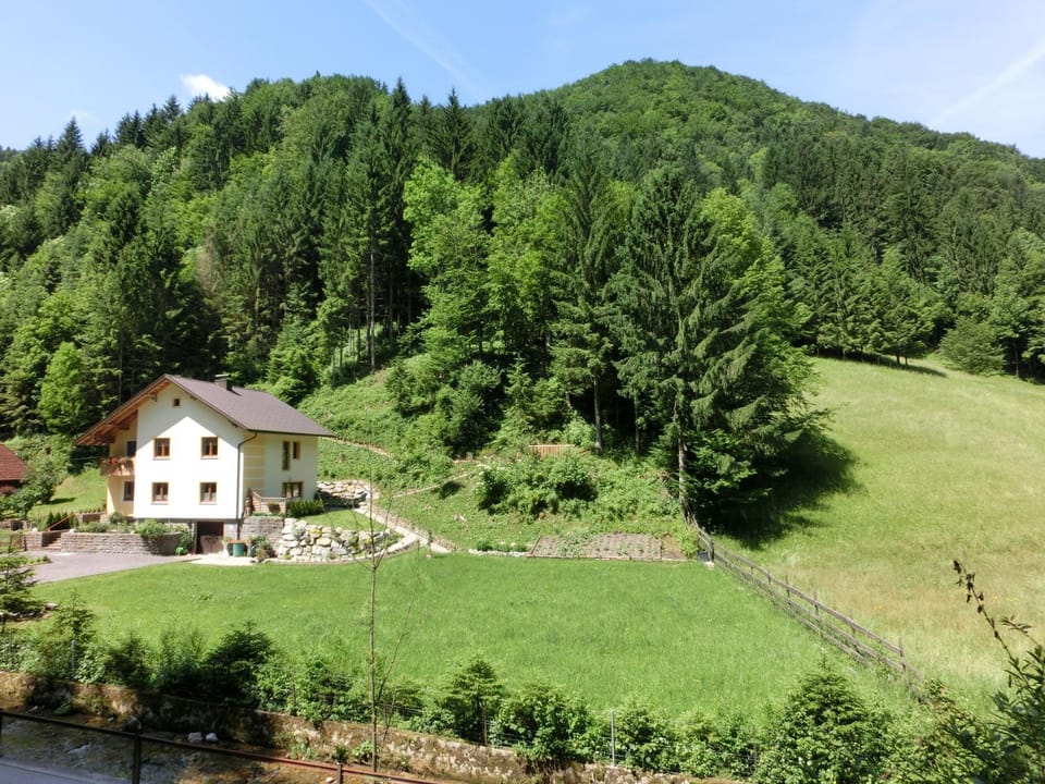 Natural landscape, Garden view