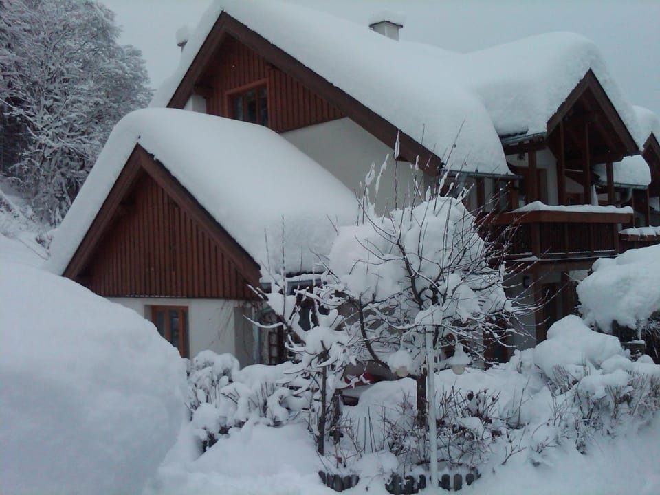 Property building, Winter