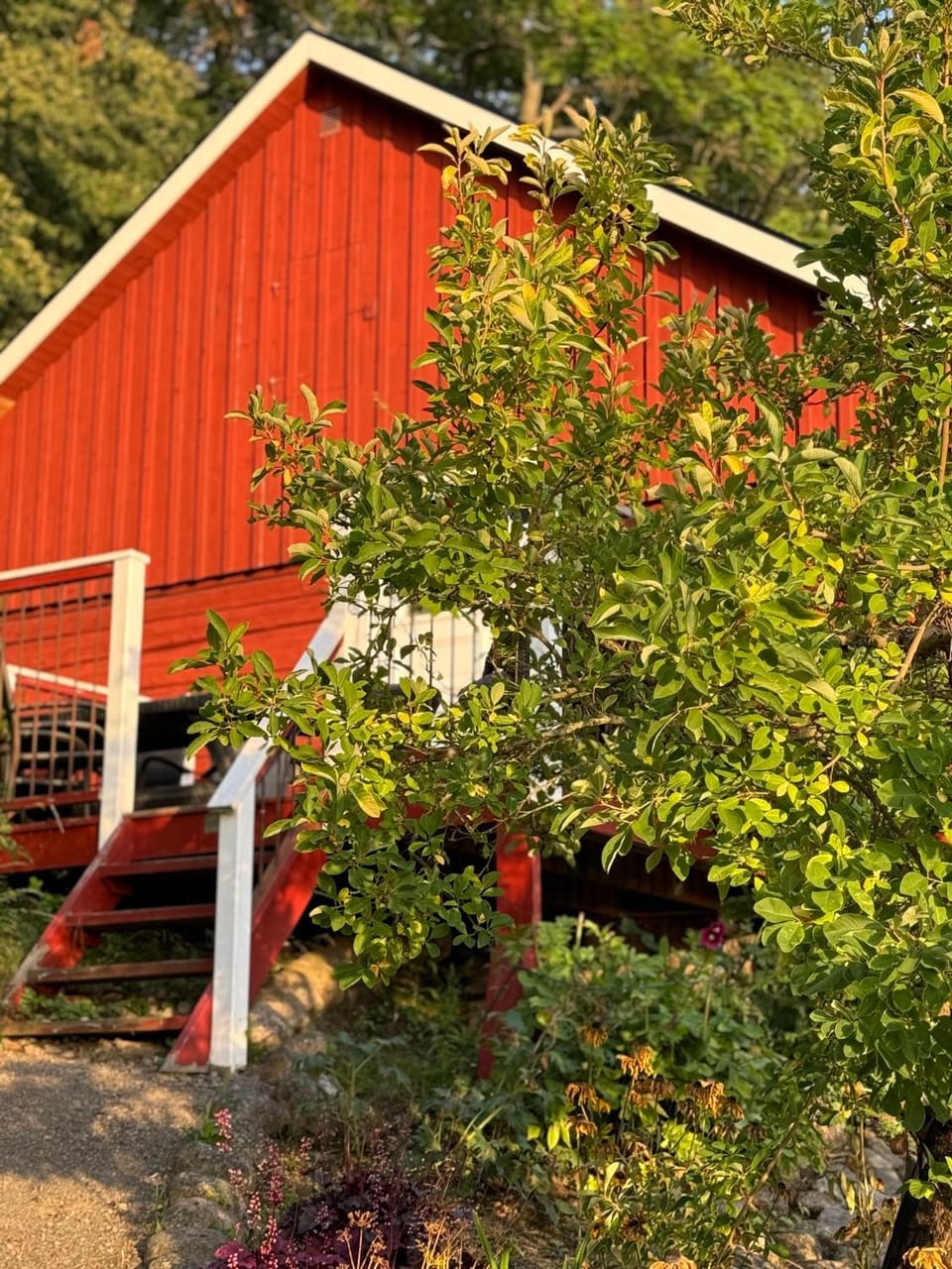 Property building, Garden