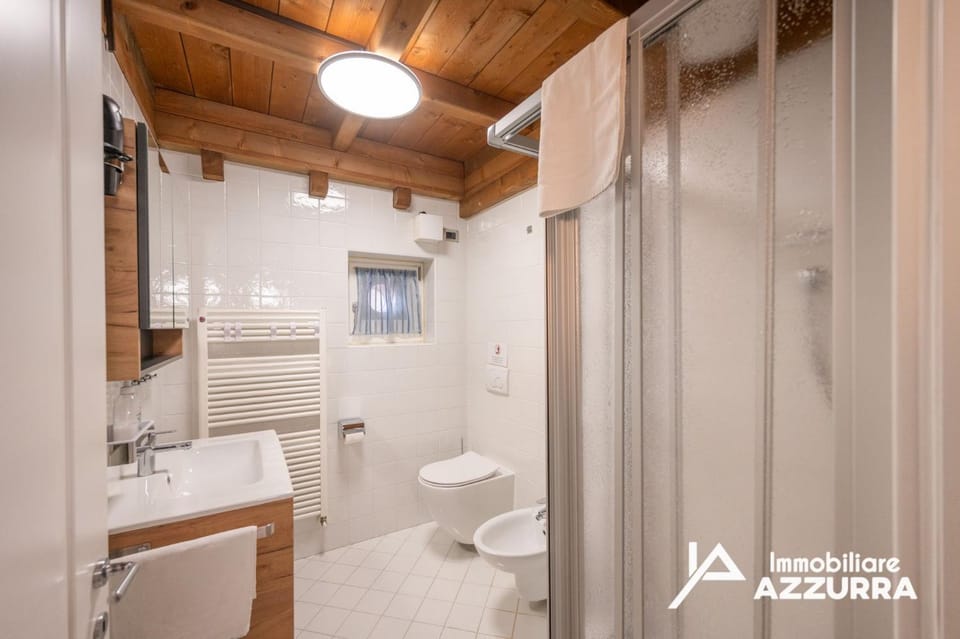 Shower, Toilet, Bathroom, bidet