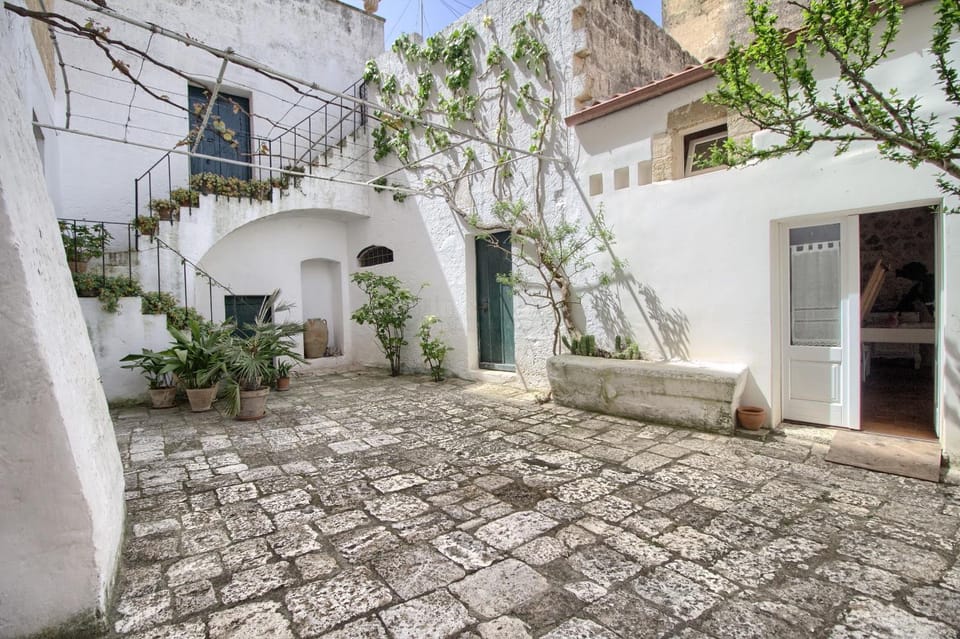 Patio, Garden