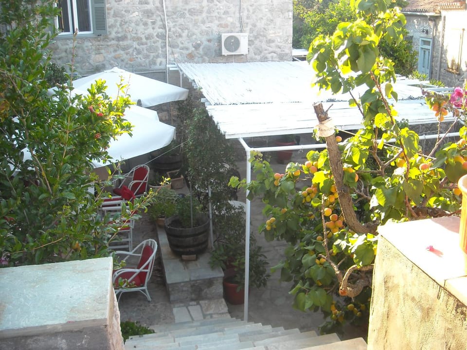 Patio, Garden, View (from property/room), Garden view