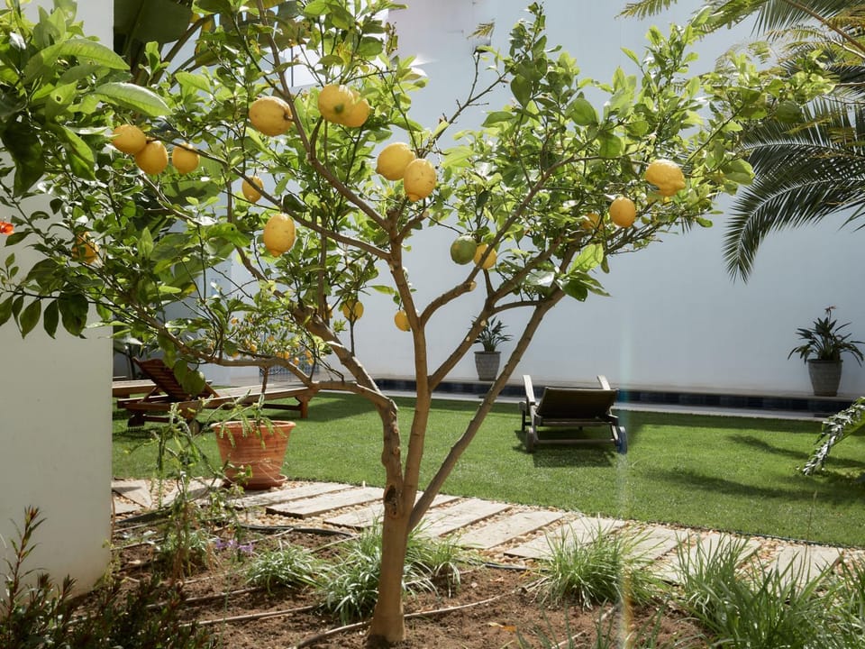 Garden, Garden view