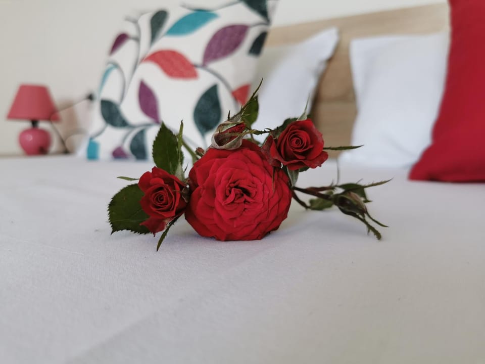 Casa Del Mar Bed and Breakfast in Burgas Province
