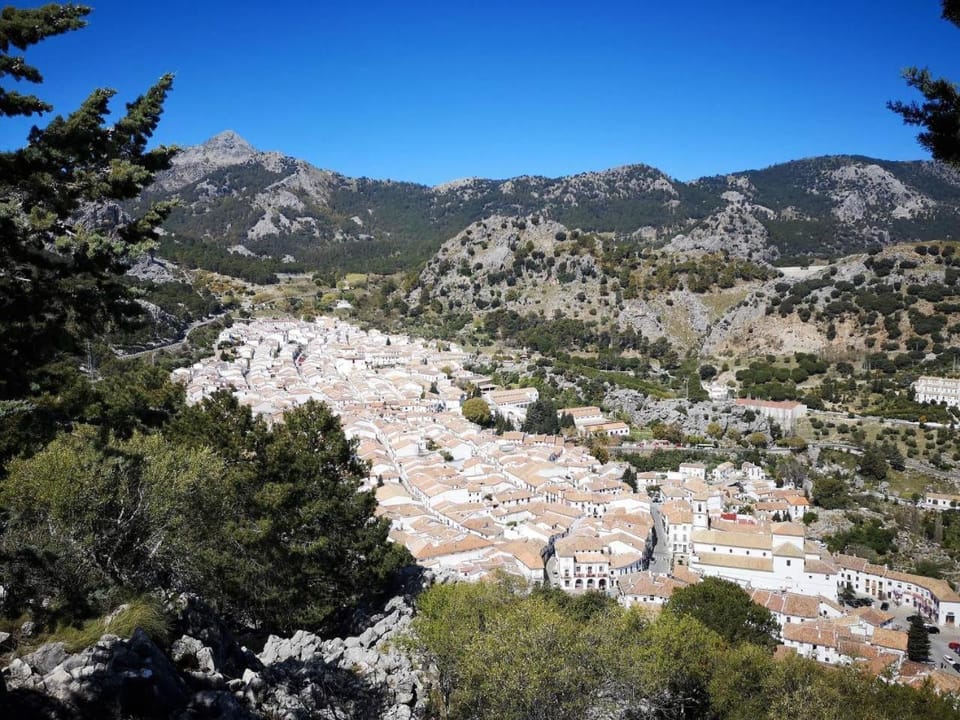 City view