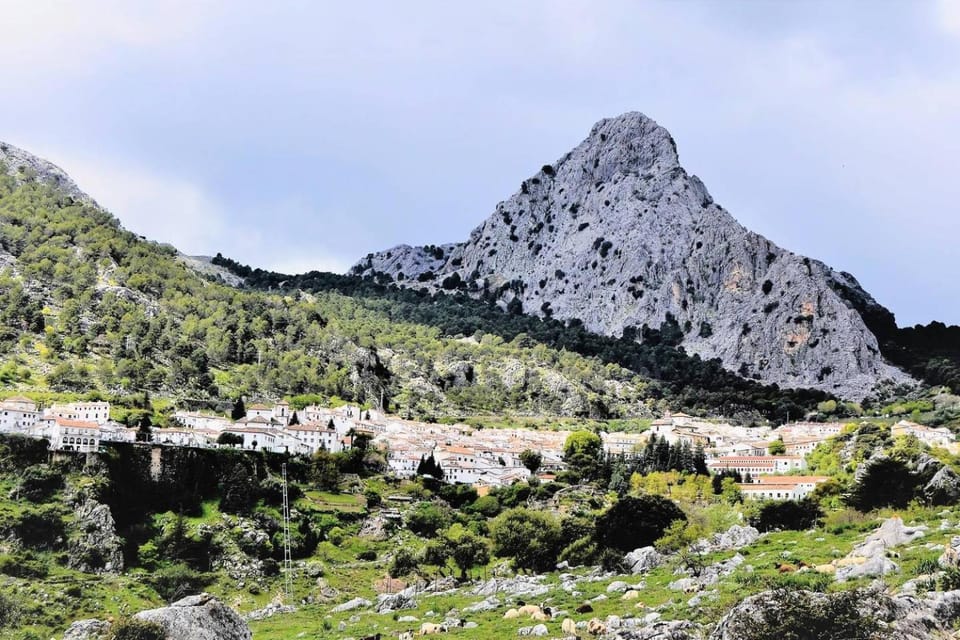 Mountain view