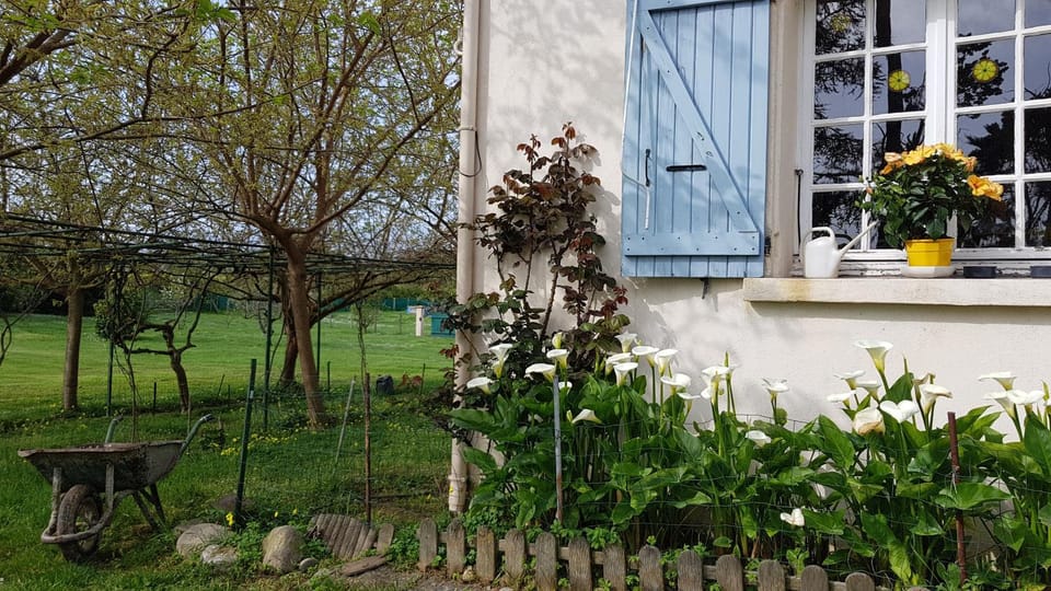 Property building, Spring, Garden view