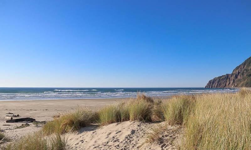 Sea Star 1 MCA 51 A-GF - Meredith Lodging House in Manzanita