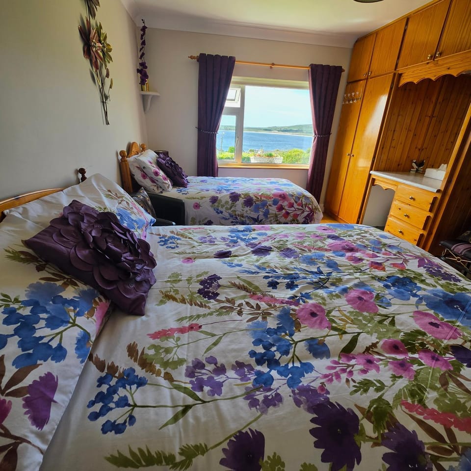 The Plough B&B Bed and Breakfast in County Kerry