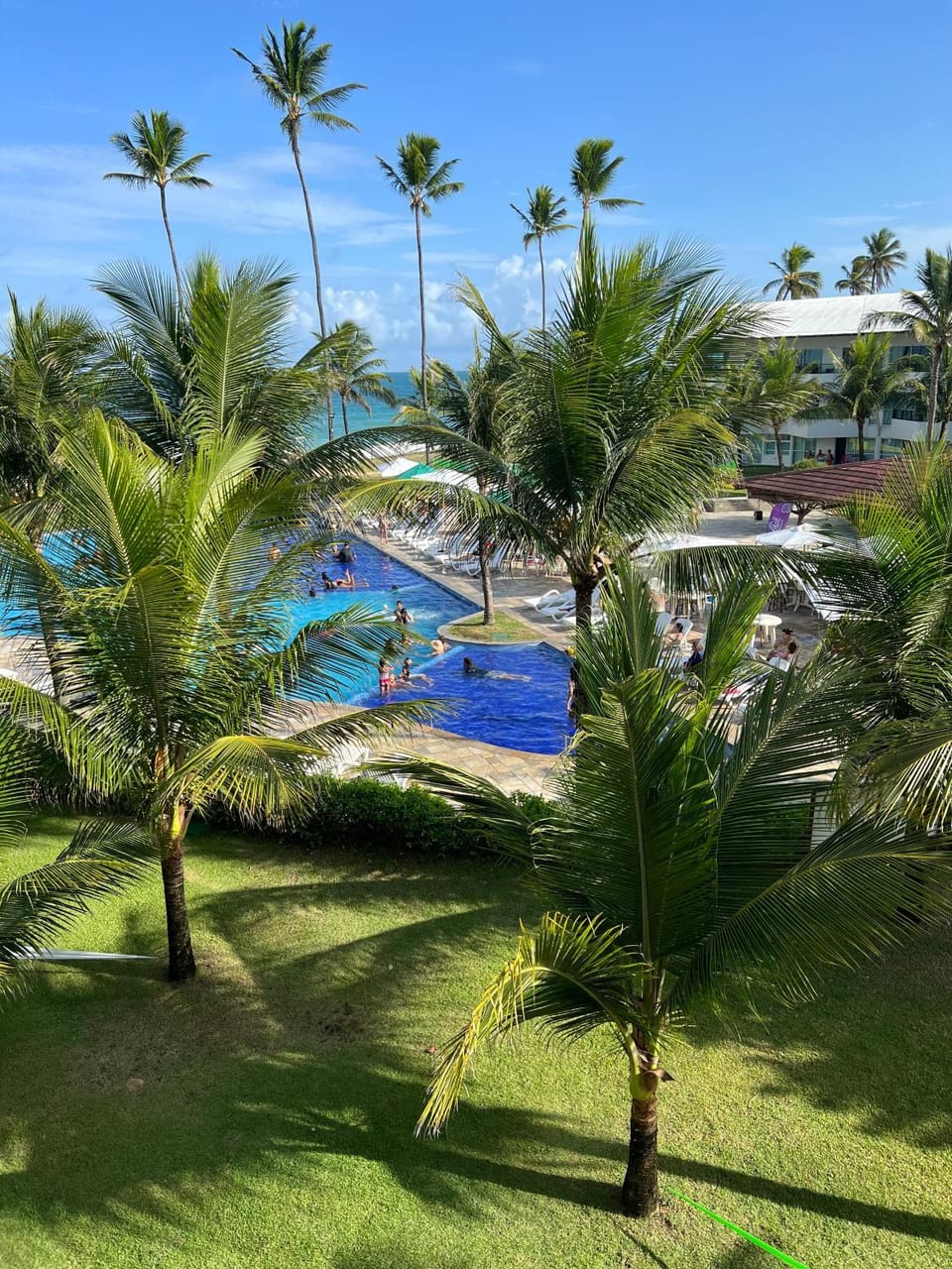 Garden view
