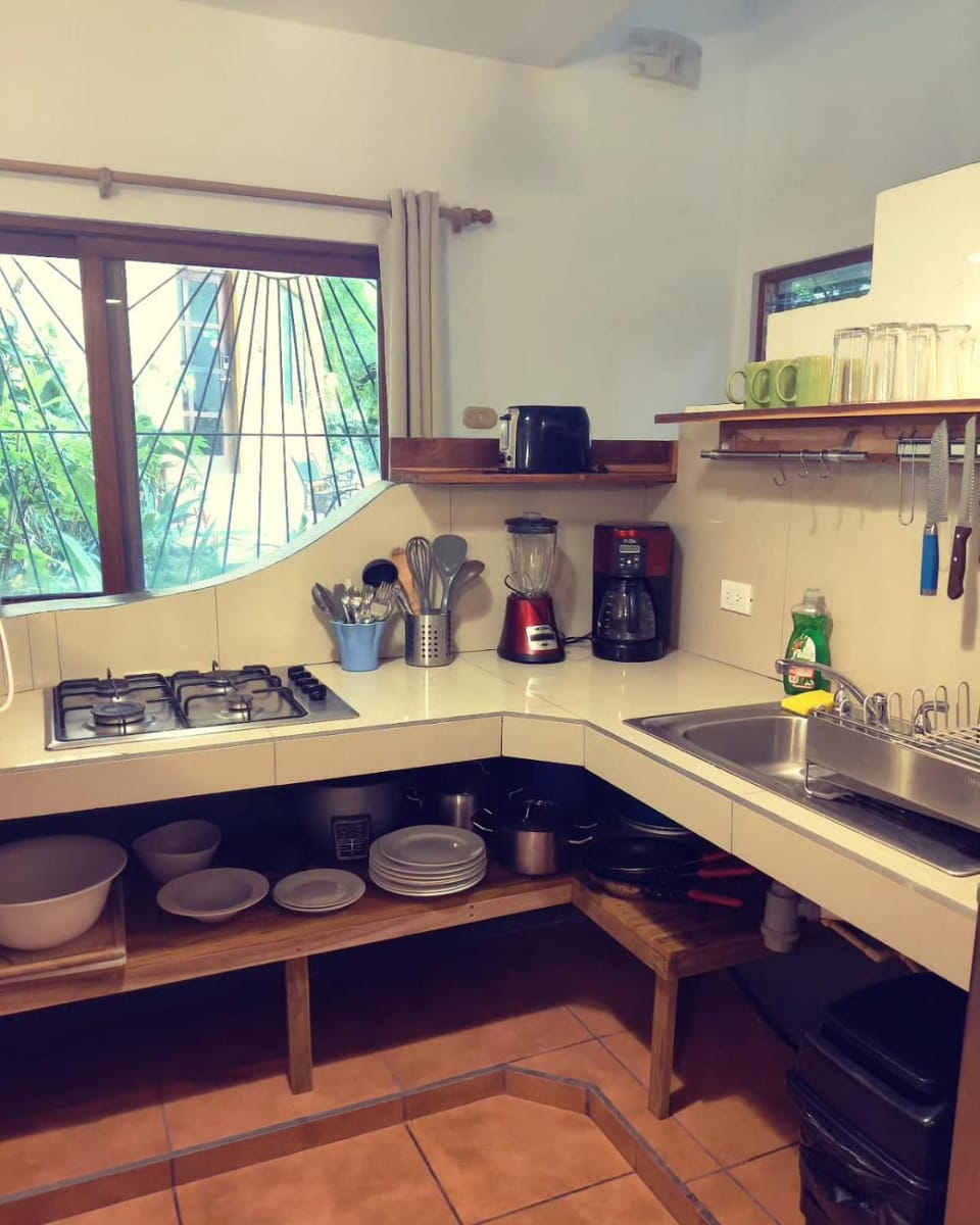Coffee/tea facilities, Kitchen or kitchenette, minibar, stove, toaster