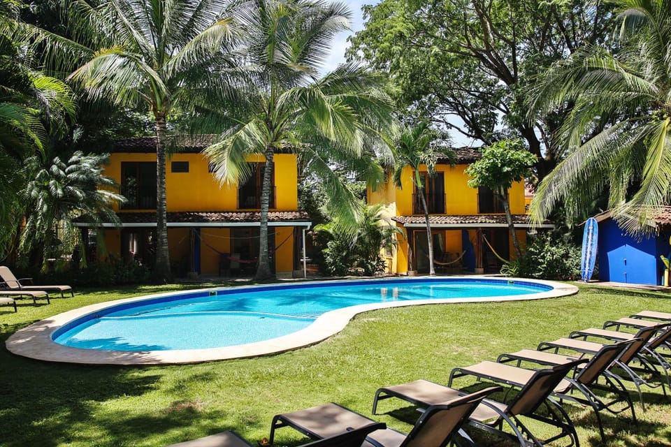 Garden, Garden view, Pool view, Swimming pool