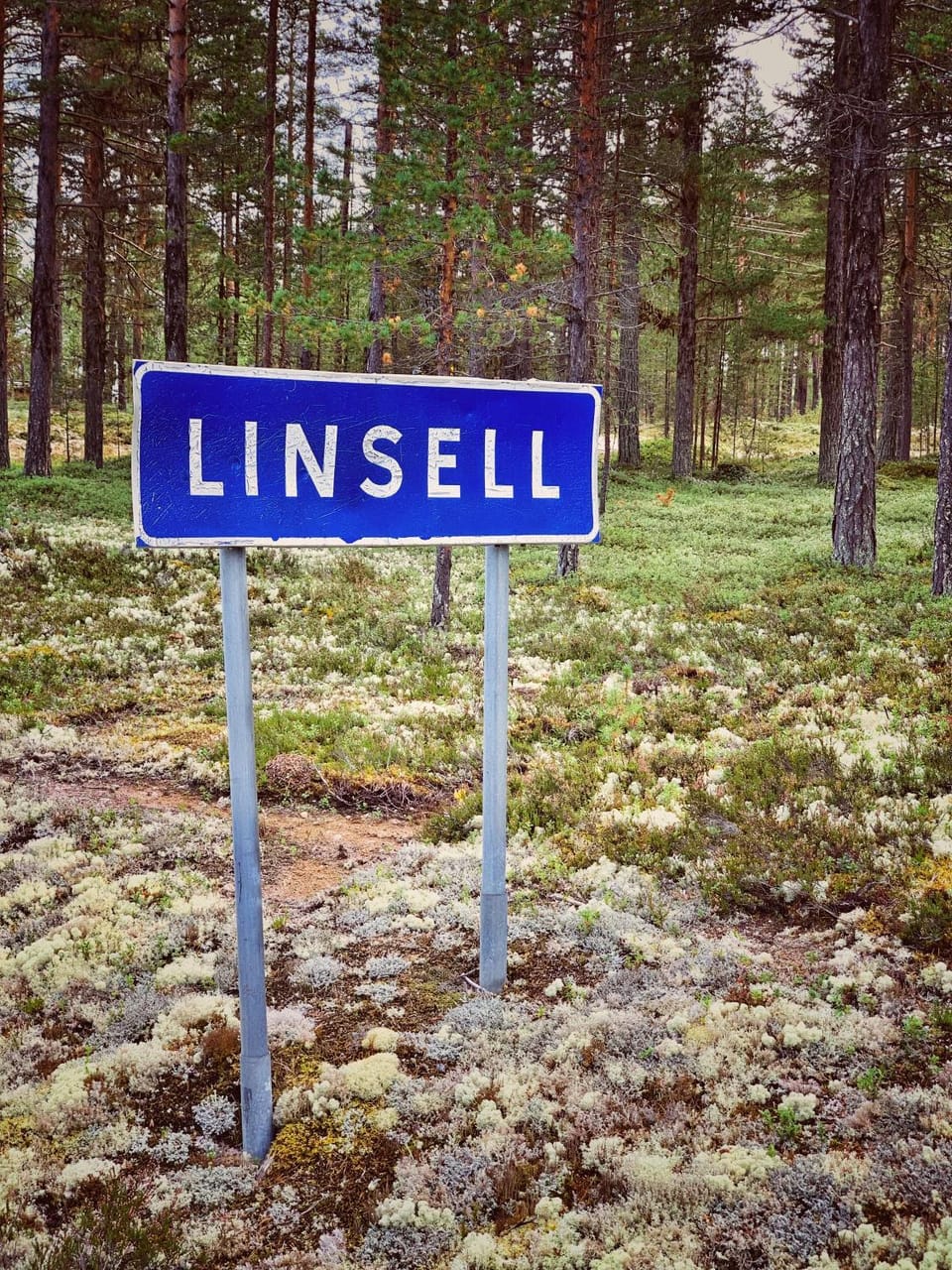 Linsell Apartment in Sweden