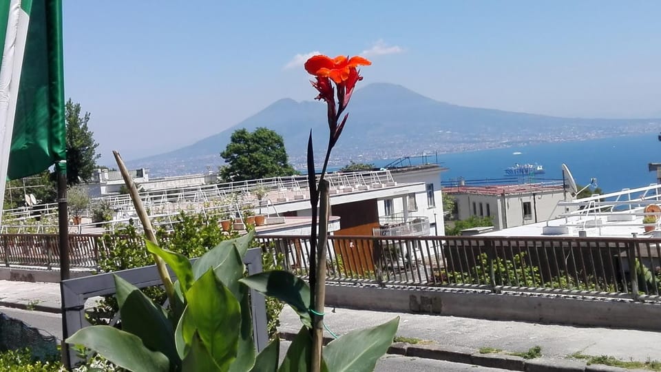 Sea view, Street view, Quiet street view