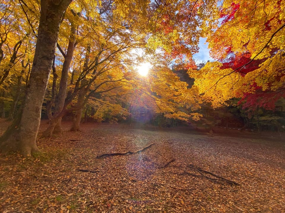 Nearby landmark, Natural landscape, Autumn