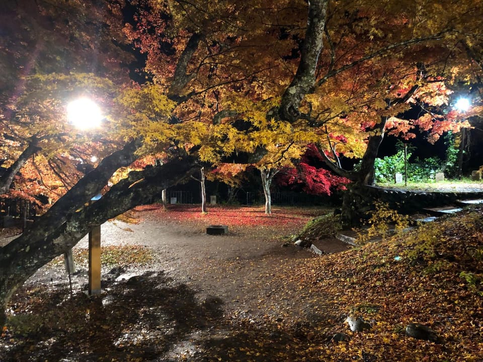 Nearby landmark, Night, Natural landscape, Autumn