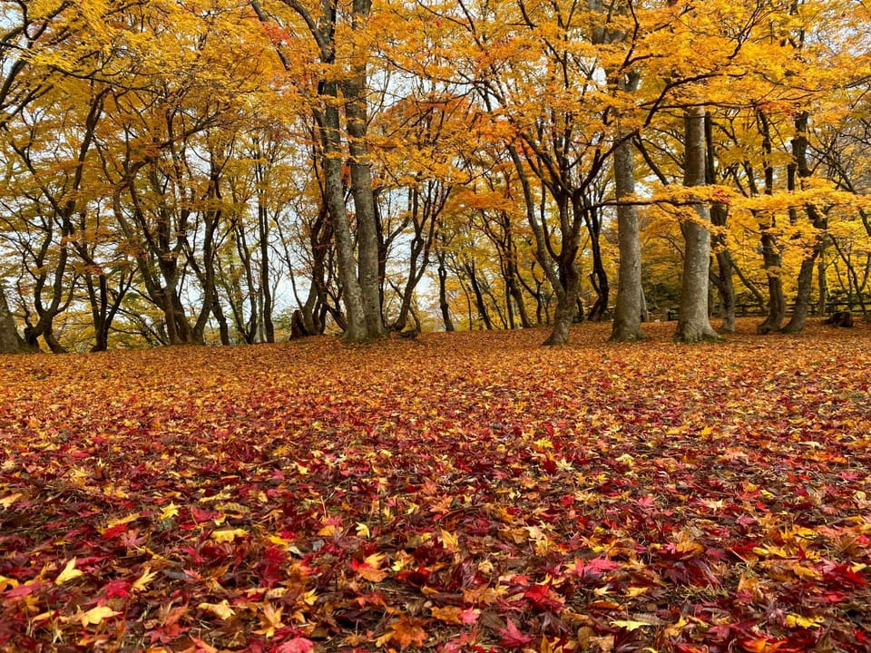 Nearby landmark, Natural landscape, Autumn