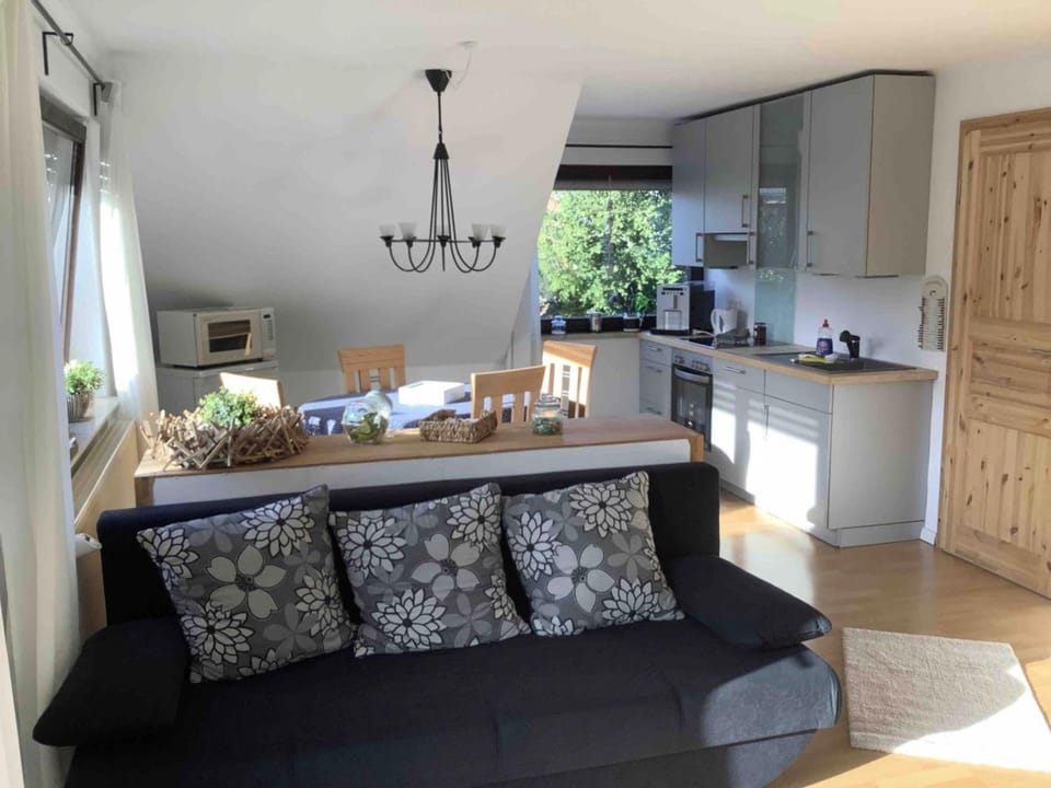 Kitchen or kitchenette, Living room, Seating area, Dining area