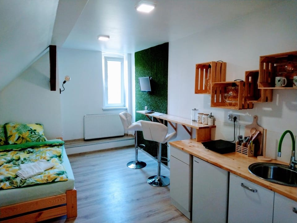 Bed, Coffee/tea facilities, Kitchen or kitchenette, Photo of the whole room, Decorative detail, City view, Quiet street view