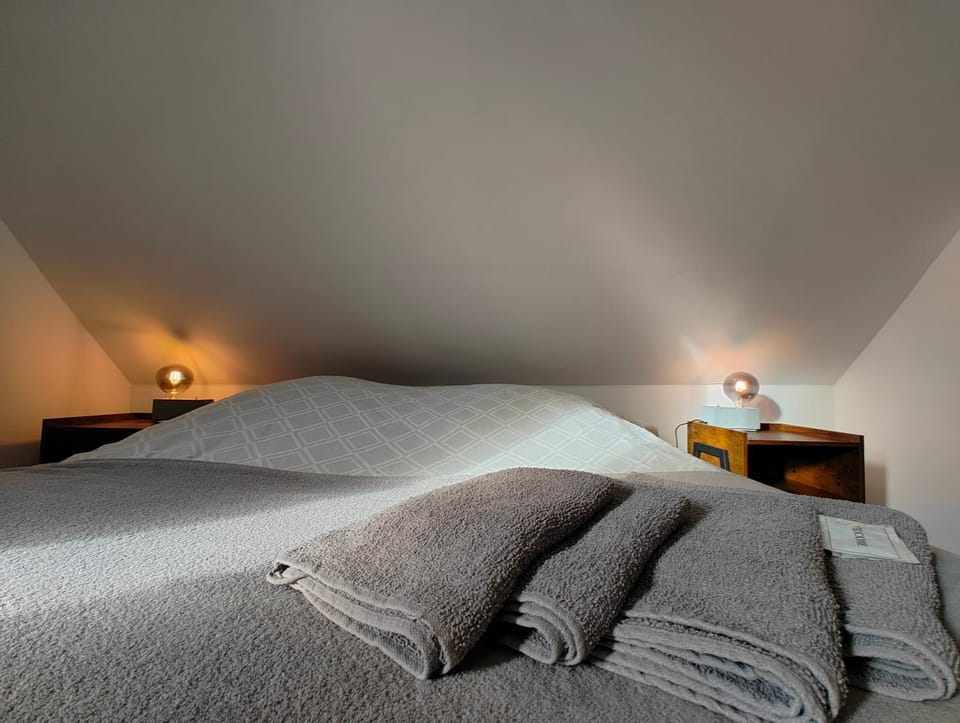 FurHouse Apartment in Wroclaw