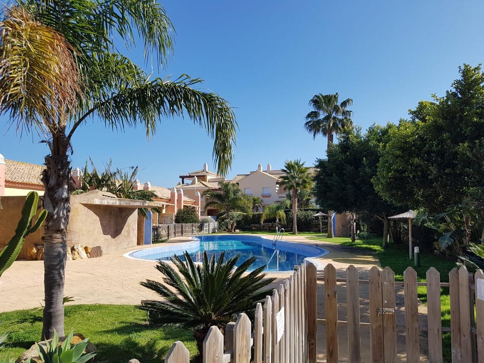 Garden, Garden, Swimming pool, Swimming pool