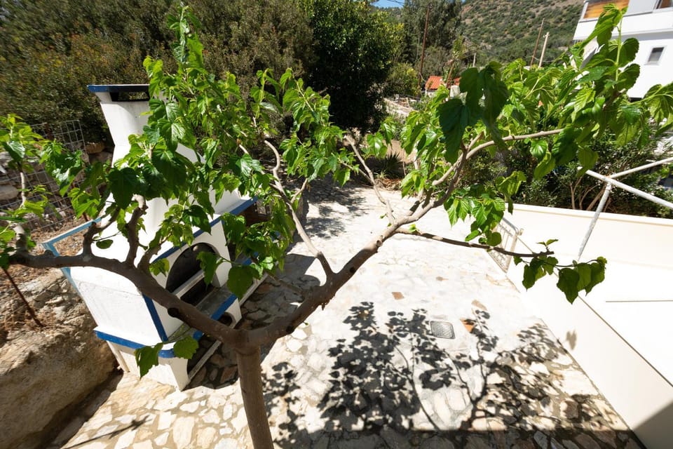 Inner courtyard view