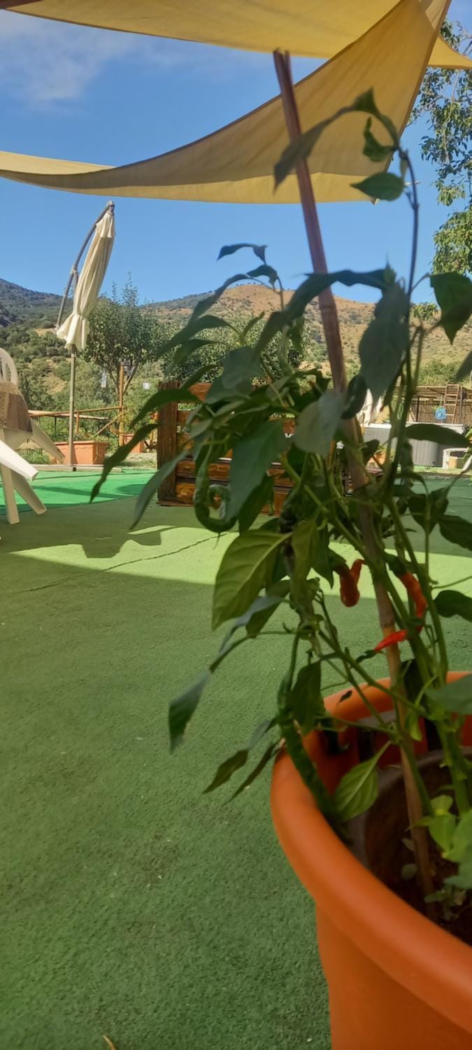 Agriturismo Gentile Bed and Breakfast in Sicily