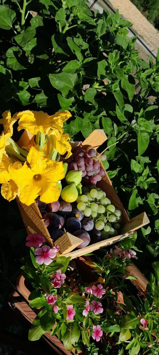 Agriturismo Gentile Bed and Breakfast in Sicily