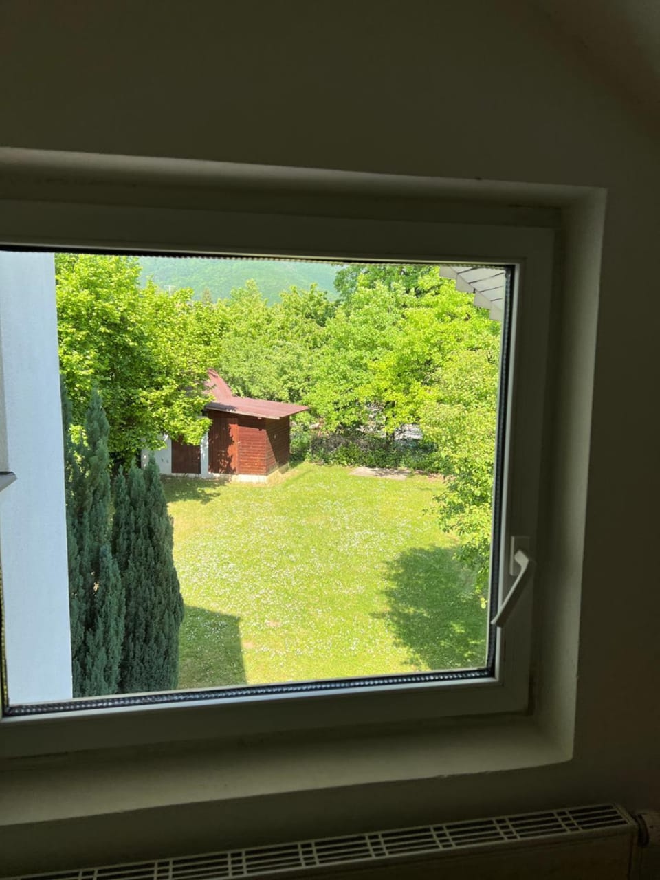 Garden view