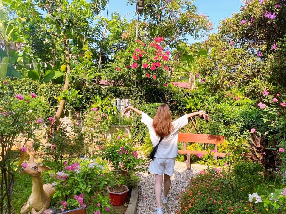 Spring, Garden, Garden view
